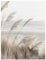 ARTland Wanddeko Wandtattoo selbstklebende Vinylfolie 30x40 cm Pflanzen natural elements Gräser Pampasgras Strand Boho Deko U5GO