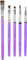 Wilton Brush Set, Cake Decorating, Food Safe, Painting, set of 5, 2.91 x 13.43 x 29.94 cm