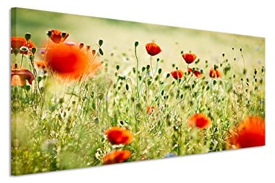 150x50cm Leinwandbild auf Keilrahmen Wieso Mohnblumen Sommer Wandbild auf Leinwand als Panorama