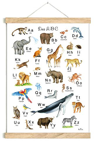 fioniony ABC BUCHSTABEN POSTER 50 x 70 cm TIERE UNGERAHMT OHNE HOLZLEISTE Tierposter Alphabet Lernposter Schulanfang 1. Klasse zur Schule Kindergarten oder Kinderzimmer Tierbilder Zoo Wald