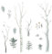 204 Wandtattoo Wald Aquarell - Birkenstämme Tannen Zweige Größe 1000 x 560 mm - in 6 Größen - Kinderzimmer Sticker Wandaufkleber Wandsticker Wanddeko Wandbild
