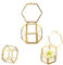 Amexo Glas Schmuckschatulle, Ringbox Vintage Schmuckschatulle aus Glas Geometrische Ringschatulle Ringbox Hochzeit Schmuckschatulle für Schmuck Ringe Armbänder Ohrringe Blume (Gold)