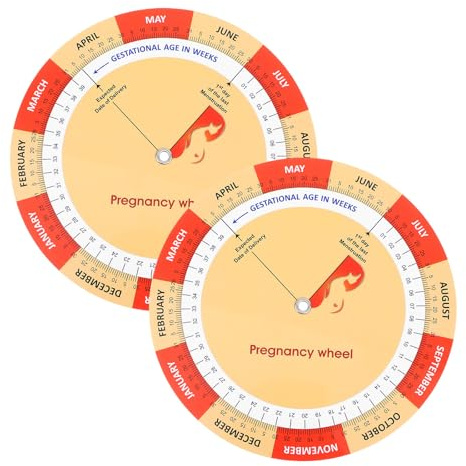VERDANVERSE 2 Pièces Disques de Grossesse Colorés en Papier Guide de Grossesse et Suivi Pratique du Développement Fœtal pour Femmes Enceintes Essentiel