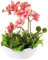 Kunstpflanze Orchideen Künstliche Deko Blumen Kunstblumen Wie Echt Mit Real-Touch Blüten im Keramiktopf Tischdeko Fensterbank Deko, Höhe 35cm, Rosa