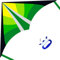 Larilook Drachen für Kinder und Erwachsen, Flugdrachen Drachen, großer Delta-Drachen, Kinderdrachen ab 6,Delta Kite (Green)