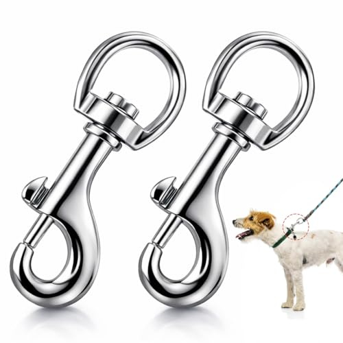 ZZHBOO 2 Pezzi Collare per Cani, Moschettoni in Lega di Zinco, Gancio a Scatto Stabile, Per Borse Valigie, Accessori per Animali Domestici, Chiavi, 0.5cm, Argento