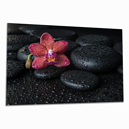 Wallario Herdabdeckplatte/Spritzschutz aus Glas, 1-teilig, 80x52cm, für Ceran- und Induktionsherde, Orchideen-Blüte auf schwarzen Steinen, benetzt mit Wasser-Tropfen
