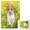 Puzzle da 300 pezzi, puzzle in legno, gioco di famiglia per adulti e adolescenti，Prato fiorito di Jack Russell