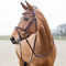 HORZE Pferde Trense Constance, Trensenzaum mit Zügel für Warmblut, Vollblut und Pony, Braun, F