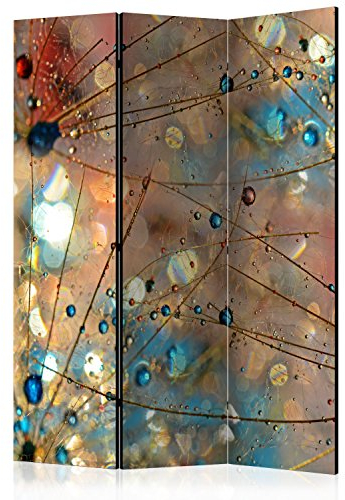 murando Raumteiler Pusteblume Natur Foto Paravent 225x172 cm beidseitig auf Vlies-Leinwand Bedruckt Trennwand Spanische Wand Sichtschutz Raumtrenner Home Office grau blau rot