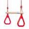 Trapèze Balançoire en Bois avec Gymnastique Anneaux Enfants Portique Toboggan Jeux Jardin Extérieur Intérieur Rouge