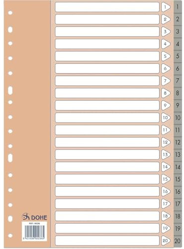 Dohe - Separadores Archivadores 2 y 4 anillas (20 uds.) - Índices Tamaño Folio (22,7x31,5 cm), Numerados 1-20, Plástico Resistente 120 Micras, 16 Agujeros - Color Gris