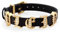 Philipp Plein Damen Armband Edelstahl IP Gold Leder Lettering PJ1AA22BU