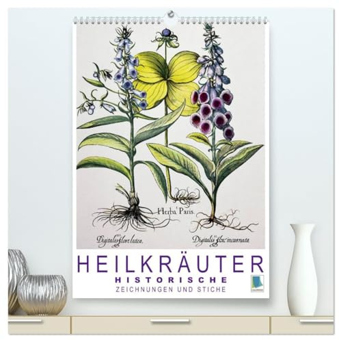 Heilkräuter: Historische Zeichnungen und Stiche (hochwertiger Premium Wandkalender 2026 DIN A2 hoch), Kunstdruck in Hochglanz: Farblithografien und ... und Schlafmohn (CALVENDO Wissen)