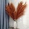 Pampas Grass Decor Tall,Pampas Grandes Florales esponjosas 8 Piezas 43/110cm ,Flores de Plumas largas para arreglo de Boda Boho Sala de Estar (8 Piezas 43/110cm, Naranja quemada)