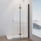 IMPTS Walk in Duschwand Schwarz 70x185 cm Dusche Glaswand Glas Duschtrennwand Duschtrennwand Falttüren Rahmenlos Duschtüren