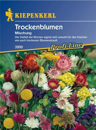 Kiepenkerl Trockenblumen Mischung