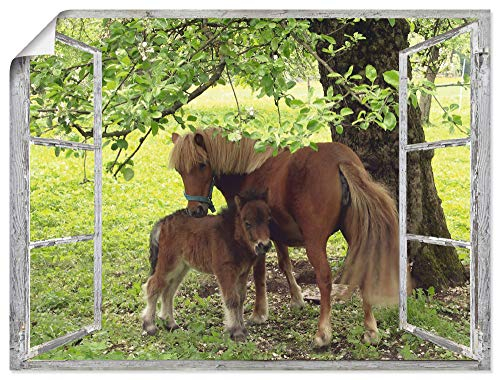ARTLAND Wanddeko Poster & Kunstdrucke Wandposter 80x60 cm Fensterblick Fenster Pferd Pony Natur Wiese Landhaus Baum Ausblick S8HN
