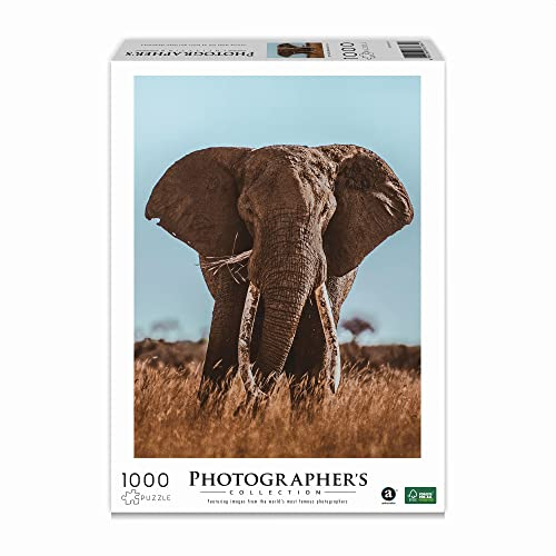 Ambassador 7230784 Afrikanischer Elefant, 1000 Teile Puzzle für Erwachsene und Kinder ab 10 Jahren, Photographer's Collection, Donal Boyd