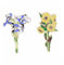 VALICLUD 2 Pièces Broche Iris Crête D'enfants à De Mode Pour Les Femmes à Pour Femme Broches De Mode Épinglette Vêtements Forme De Fleur Matériau En Manquer