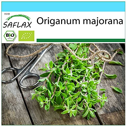 SAFLAX - Set regalo - Ecológico - Mejorana - 700 semillas - Con caja regalo/envío, etiqueta para envío, tarjeta de felicitación y sustrato de cultivo - Origanum majorana