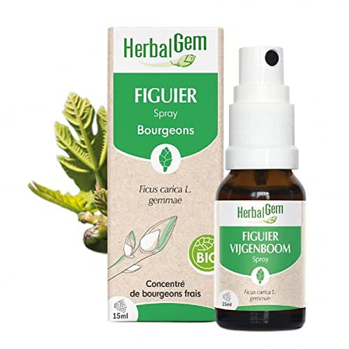 HerbalGem - Macérât-Mère - Spray Figuier Bio - Complément Alimentaire Gemmothérapie Concentrée - Extrait de Bourgeon Frais - pour Digestion - Vegan - Format Nomade, Simple et Pratique - 15 ml