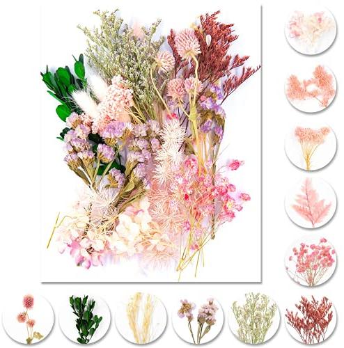 iDattel Natürliche Getrocknete Blumen,Blumen Natürliche Gemischte,DIY Natürliche Getrocknet Blumen Set für Kunst Basteln DIY Harz Scrapbooking Handwerk Karten Machen(Hellrosa)