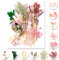 iDattel Natürliche Getrocknete Blumen,Blumen Natürliche Gemischte,DIY Natürliche Getrocknet Blumen Set für Kunst Basteln DIY Harz Scrapbooking Handwerk Karten Machen（Hellrosa）