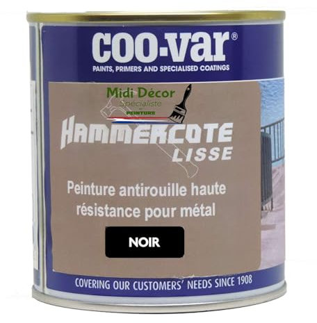 Midi Decor Peinture métal lisse antirouille - extérieure et intérieure - Noir 1L