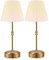 Jayencer Touch Control Cordless Table Lamp,Battery Powered Bedside Night Lamp with Stepless Dimming,Portable Table Lamp for Bedroom,Restaurants,Offices,Cafe