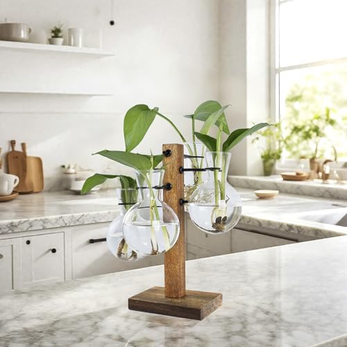 Pflanzen-Anzuchtstation mit Ständer aus Akazienholz und 4 Glasvasen, stilvolle Anzuchtvasen für Pflanzen, Haus & Garten Dekor - Ideales Geschenk für Pflanzenliebhaber & Gartenliebhaber