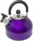Bouilloire sifflante en acier inoxydable léger, 2,5 L