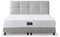 Z-hom Boxspringbett 213, Gepolstert Doppelbett mit Matratze 30 cm hoch - Taschenfederkern, Polsterbett, Kopfteil gesteppt und gepolstert, Continentalbett (Hellgrau, 200 x 200 cm)