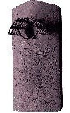 Schwegler VORDERWAND für Nisthöhle 1B/2M Ø 32 mm (mit Schutz)
