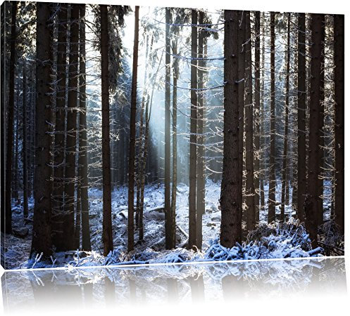 Pixxprint Winterwald Bild, Größe: 120x80cm, Leinwandbild, fertig gespannt, Wandbild, Dekoration, Kunstdruck, kein Poster