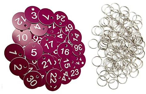 Plastic ID Number Tags Number Labels Key Tags with Key Rings (Purple, 1-100)