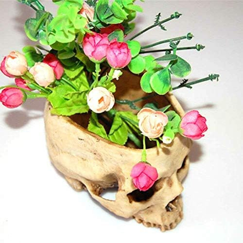 Qivange Skull Planter Resin Skull Head Plant Flower Pot Halloween Decorations Bowl for Home Office Desk Festival Decor