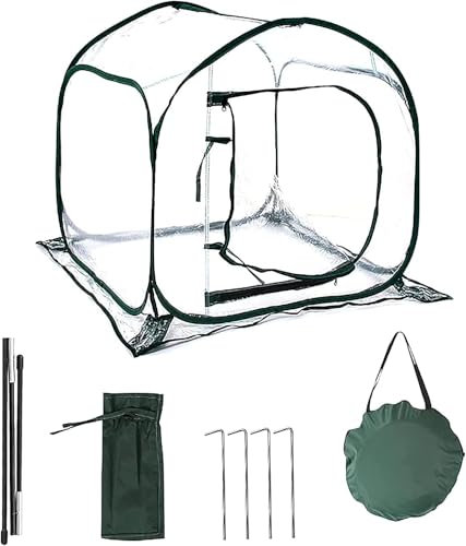 Hydrogarden Pop Up Gewächshaus Foliengewächshaus 80x80x80 cm - Treibhaus mit Reißverschluss Tür und Metallrahmen - Frühbeet Tomatengewächshaus Anzucht Zelt - Tomatenzelt durchsichtig, faltbar