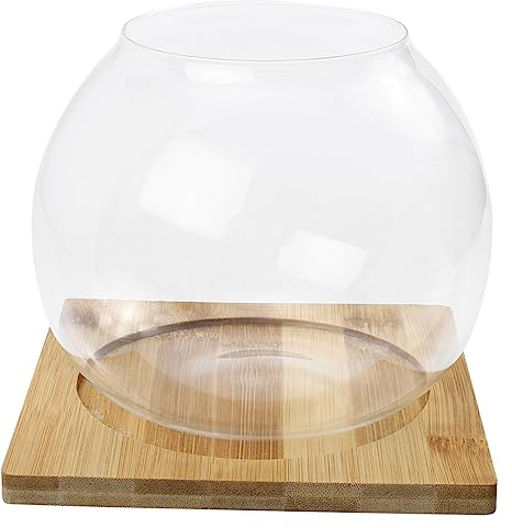 UPKOCH 1 Satz Flaschengarten Ökosystem Flasche für Kleine Fische Dekorative Sukkulenten und DIY Mooslandschaften mit Bambusunterlage Wohnräume