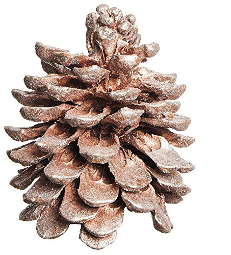 Natur-deko PINIEN- ZAPFEN ca 100-140mm. 2 Stück. Baumzapfen in Glitter Silber -92GL