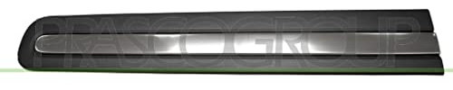 PRASCO FT0401413 Baguette et bande protectrice porte avant droite chrome/noir
