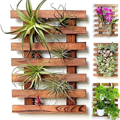 ShopLaLa Jardinière murale – Support en bois pour plantes succulentes d'intérieur et d'extérieur, orchidée vivante Cadre d'affichage vertical pour jardin, balcon, terrasse, salle de bain, Macetas para