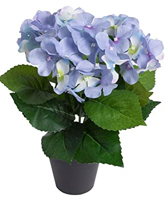 Botanic-Haus künstliche Hortensie/künstlicher Hortensienbusch im schwarzem Kunststofftopf, Farbe: hellblau