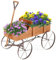 HOMASIS Blumenwagen Holz, Blumenkarre mit 4 Metall Rädern, Griff & 2 Fächern, Blumenständer Holzwagen Pflanzschubkarre, Blumenkasten Gartendeko für Garten Balkon Terasse, 62x34x60cm (Orange)