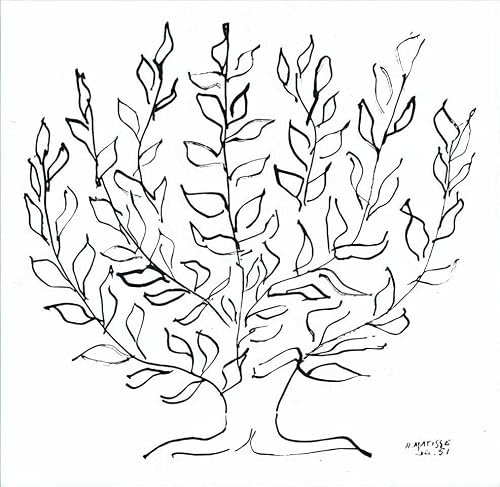 kunst für alle Kunstdruck/Poster: Henri Matisse Die Platane - hochwertiger Druck, Bild, Kunstposter, 100x100 cm