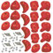 Garden Games 20 Pack of Premium Climbing Holds High Grip Steel Reinforced Polyresin with Stainless Steel Fixings (Red, 20)