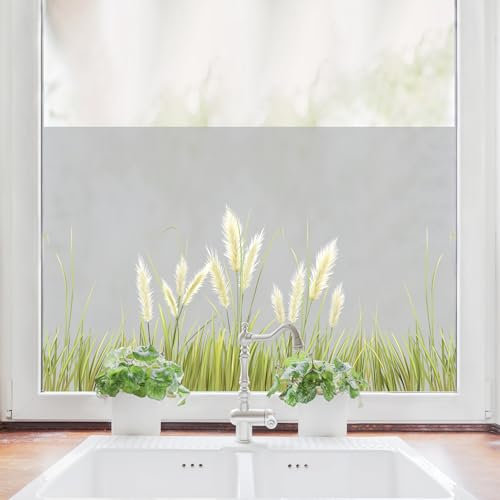Sichtschutzfolie farbiges Pampasgras Gräser Fensterfolie Fensterdeko Milchglasfolie Sichtschutz Folie Fenster, 55 cm hoch, 100 cm breit