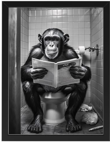 Singe sur WC, poster 30 cm x 40 cm avec cadre, décoration de toilettes, décoration murale, cadeau amusant