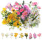 Tyqour 120 Stück Transparente Blumen Scrapbooking Stickers, Flower Scrapbook Stickers Aufkleber Aesthetic Blumenaufkleber Vintage Blume Fotoalbum Stickers für Scrapbook Tagebücher Karten Handwerk