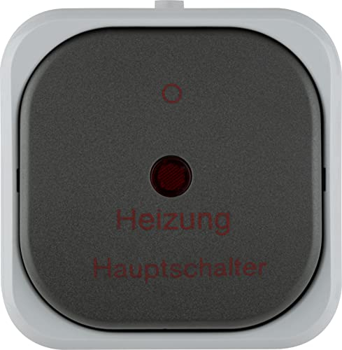 REV AquaTop, Heizungsschalter Feuchtraum IP44, zweipolig, Aufputz, grau